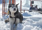 Stubai 2011 (7)